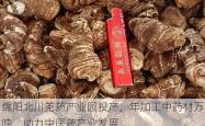 绵阳北川羌药产业园投产，年加工中药材万吨，助力中医药产业发展